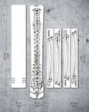 DYEDBRO FRAME PROTECTON-BONES (MATTE)