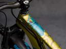 DYEDBRO FRAME PROTECTON-ENDURO WORLD SERIES (MATTE)