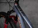 DYEDBRO FRAME PROTECTON-ANTHONY NAPO MTB SIGNATURE SERIES (MATTE)