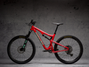 DYEDBRO FRAME PROTECTON-ENDURO WORLD SERIES (MATTE)